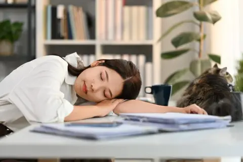 午後の猛烈な眠気は「意志の弱さ」か、それとも身体が発する切実な「SOS」か？